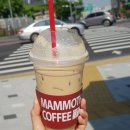 [양재역 테이크아웃 커피] 코코넛 사이공 라떼가 맛있는 가성비 갑 매머드커피(맘모스커피)메뉴 및 가격