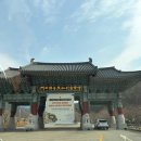 가람스테이3 | 순천 송광사 봄 템플스테이 MZ스님과 사진! 휴식형, 체험형 본관 신관 후기 :)