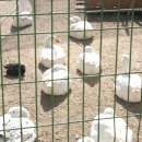 장수천농장 이미지