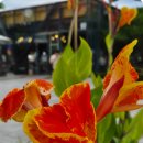 라흐마니노프 피아노 협주곡 3번 3악장 이미지