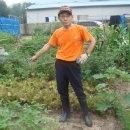 도원 농장 이미지