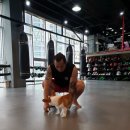 그랑프리 엑스짐 이미지