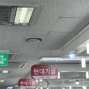 남대문시장 그릇 쇼핑 ㅣ 현대기물&amp;박그릇 구매후기
