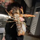 빅히트바다낚시터 이미지