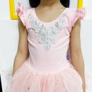 키즈 발레 이미지