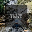 광덕사 | 천안 광덕산 자락 광덕사계곡 완전 정복(주차장, 위치, 등산코스 안내)