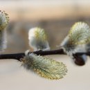 일신아파트 버스정류장 옆 이미지