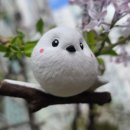 이든혜윰 이미지