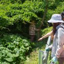 산방환담