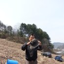 윤종석농장 Daum카페