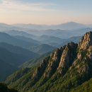 인터넷KJ | 🌲자연을 사랑하는 이들을 위한 산악회 활동 가이드