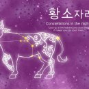 추억만드는자리