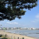 삼다수숲길 2코스 | Half제주도민의 제주 여행_공항 카페, 고기국수 맛집, 삼다수숲길, 산굼부리 주차