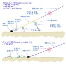 초보조사의 원투낚시채비의선택(펌) 이미지