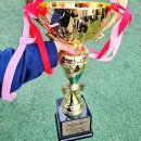 포에스축구클럽