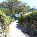 손죽마을 전통화전놀이 이미지