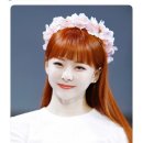 화이트워싱 Daum카페