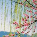 공공용 15 이미지