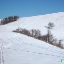 대관령목장 이미지