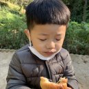 앵봉산생태놀이터 화장실 네이버블로그
