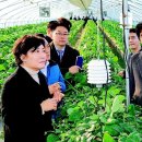 김선배농장 동아일보