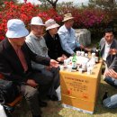 태백초등학교 이미지