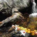 정수산장펜션 이미지