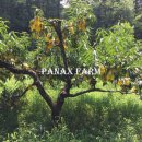 일죽농장 이미지