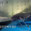 섬진강민물매운탕 이미지