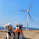 풀내음목장 이미지