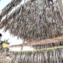 황태덕장 이미지