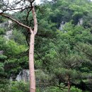 유수농산 이미지