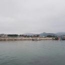 송지호 오토캠핑장 이미지