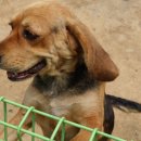 여름농장 이미지