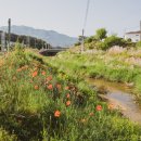 구룡파출소 화장실 이미지