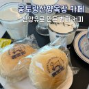 희석목장 | 태백여행 | 몽토랑산양목장 카페입구 vs 꼭대기 카페 비교