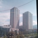 캔버라스크린골프 이미지