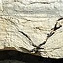 스트로마톨라이트 이미지