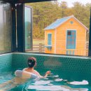 치즈바다