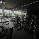 팀 뉴비짐 이미지