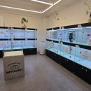 미유펫 강아지분양 고양이분양 전주점 이미지