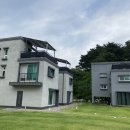 강릉애견하우스 이미지