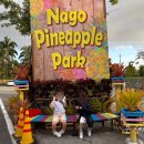 북부카랜드 이미지