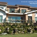 아지랑냉이랑 이미지