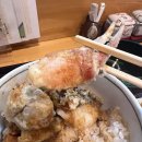 코코스몰 | [내돈내산] 삿포로, 오타루_음식(소요기텐동,스프카레,야키니쿠등)