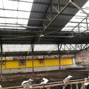 원주2목장 이미지