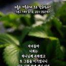 핸드폰 배경화면&amp;잠금화면_20241208_의롭고 거룩하니 크고 강하도다!_요한일서 4장 4절_대림절 두 번째 주일 묵상_의롭고 거룩한 이미지