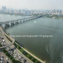 버그헌터119 서울강남센터