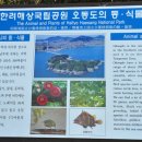 여수육계 Daum카페