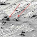 화성빌딩 이미지